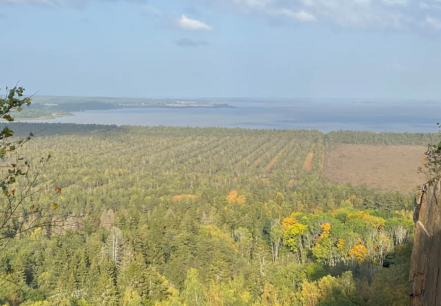 Utiskt över skog och fält