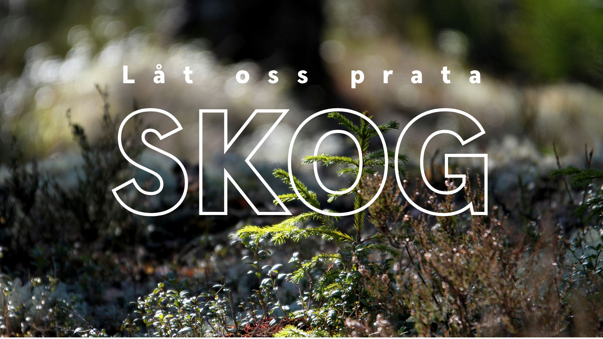 Skog