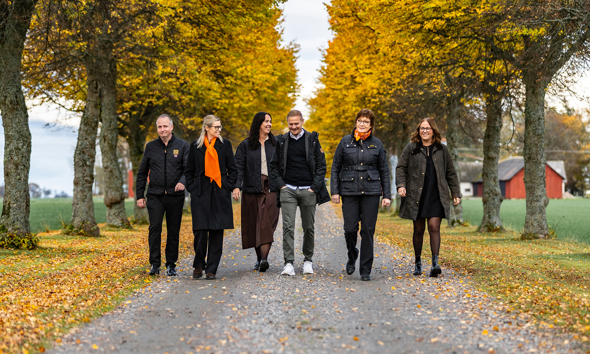 personer går på en grusad alle med höstlöv