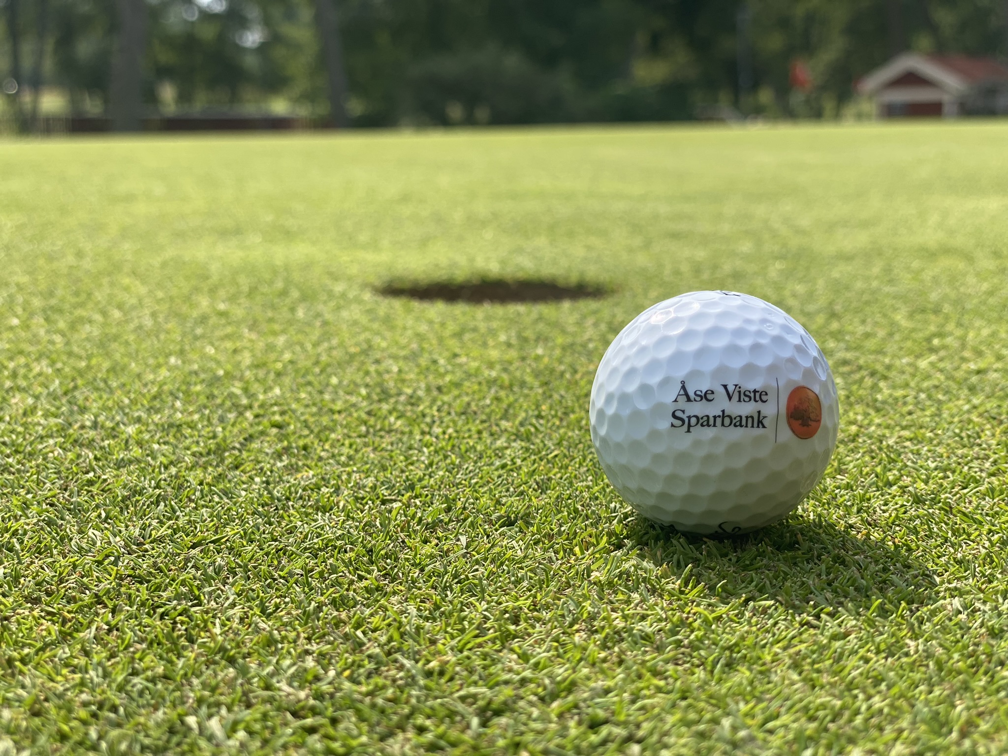 Golfboll på golfbana